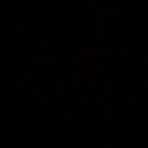 Meet your Posher, Susa